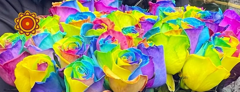 Vibrant rainbow roses bouquet, a luxury rose inc arrangement, alternative to soft pink roses, long stem roses 90s, luxury flowers near me.
