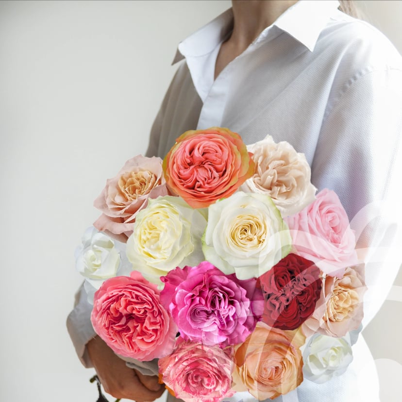 Handheld bouquet of Ecuadorian garden roses featuring flavorette honey apricot rose zone, sunset rose granite, coral rose necklace and peach rose paint.
