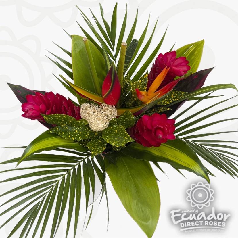Round Bouquet Tucan