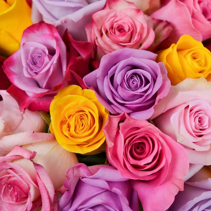 farms-choice-rose-box-detail