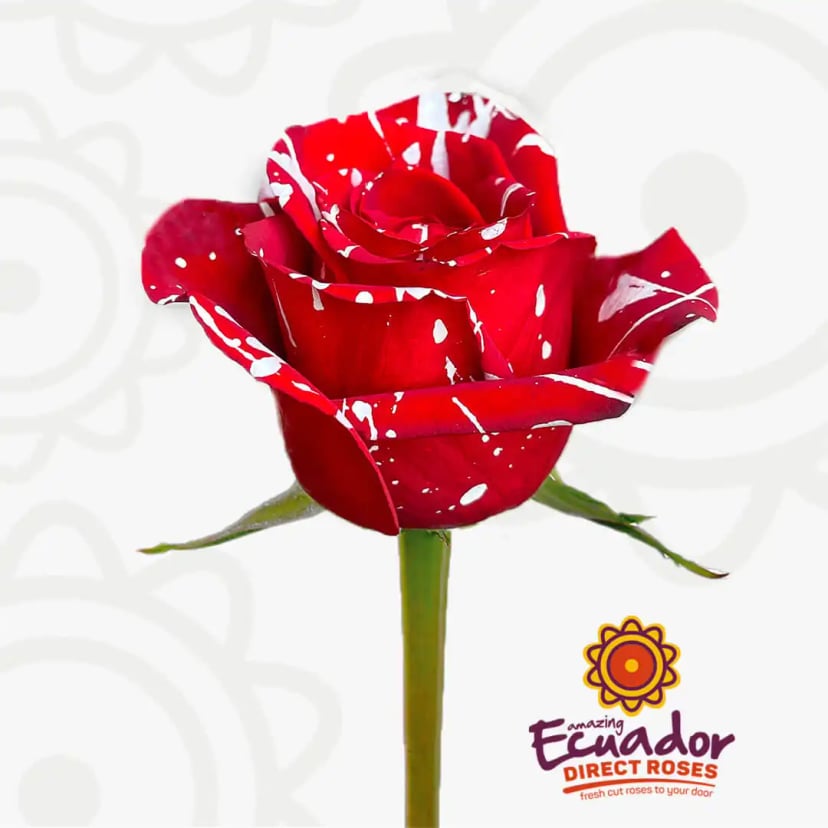 red-magic-tinted-rose-red-color-EDR-1
