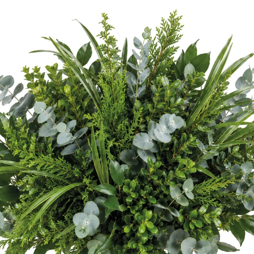 forest-mix-box-styled