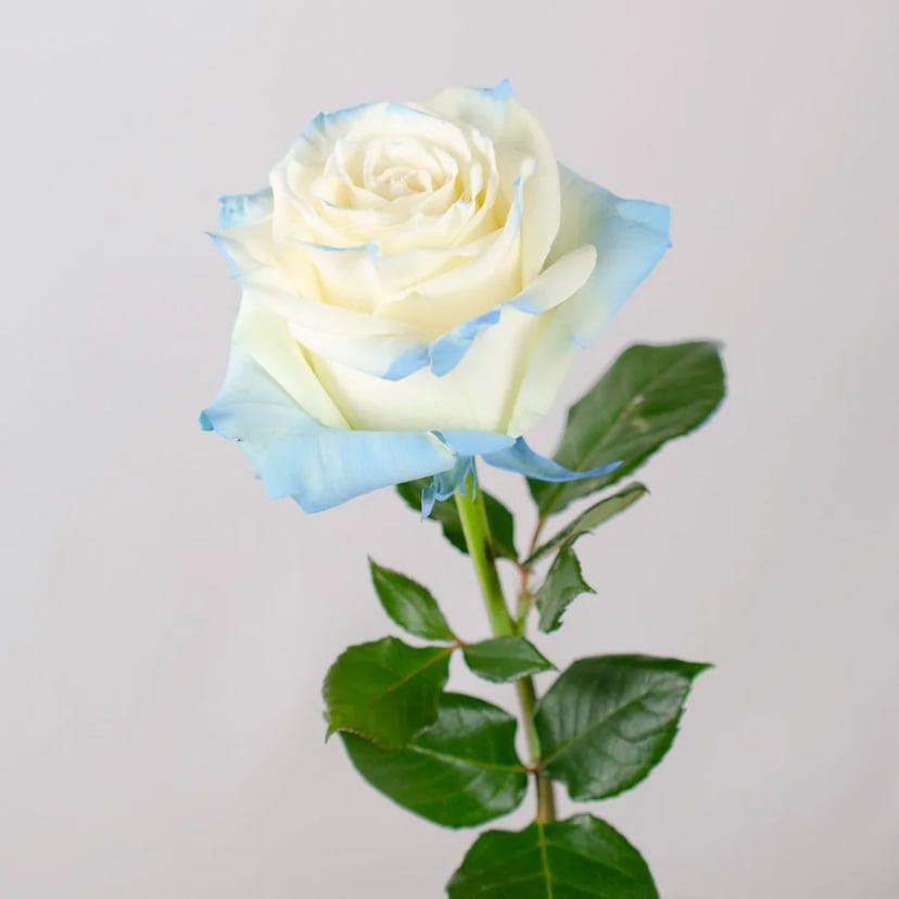 glimmer-pearl-rose-side