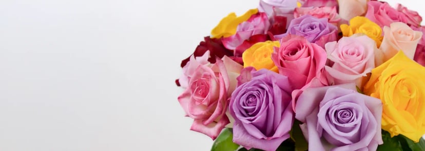 Ecuador Direct Flowers is now Ecuador Direct Flowers