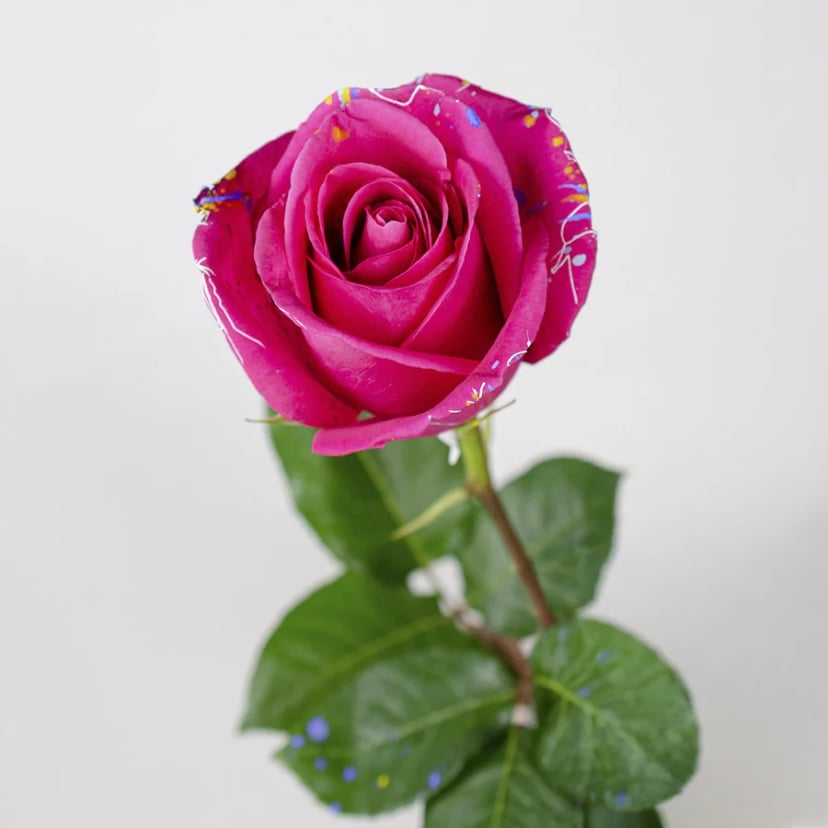 hot-pink-splash-side