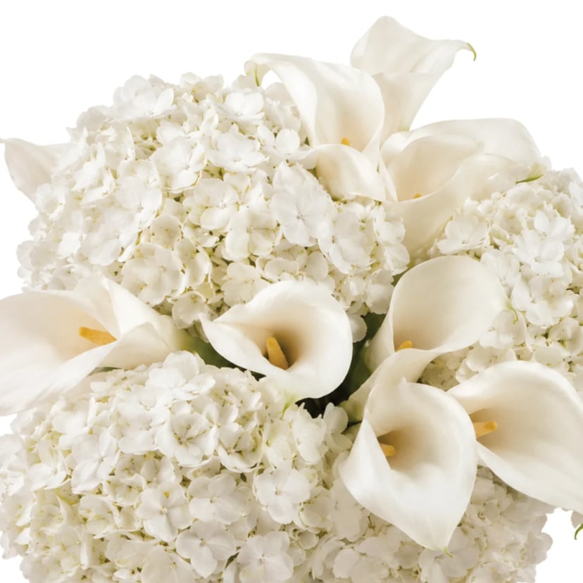 hydralas-mix-box-styled
