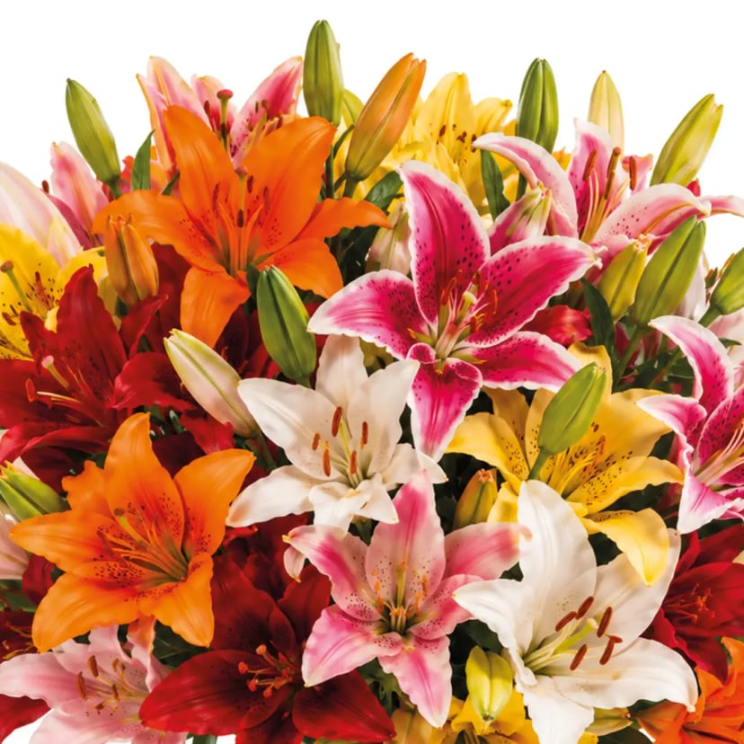 lilies-bloom-mix-box-styled