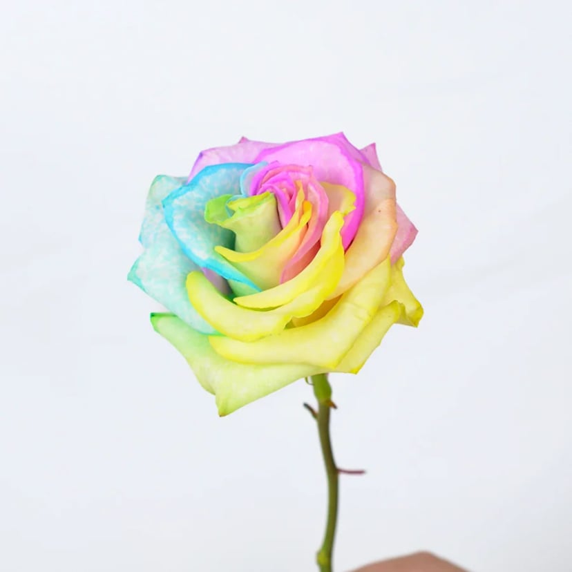 marshmallow-rose-side