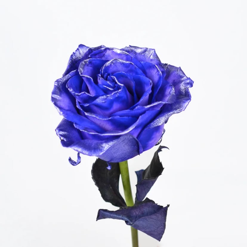 metallic-purple-rose-side