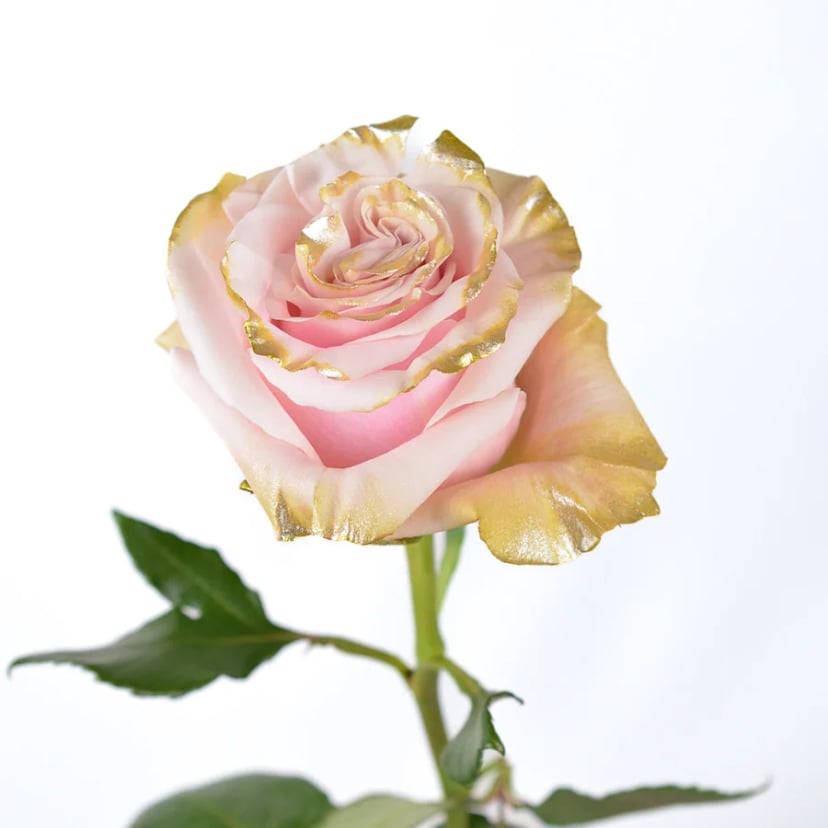 metallic-sunray-rose-side
