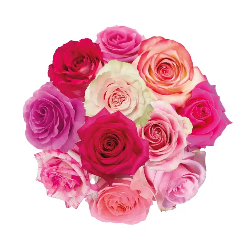 mix-pink-2-_2__11zon