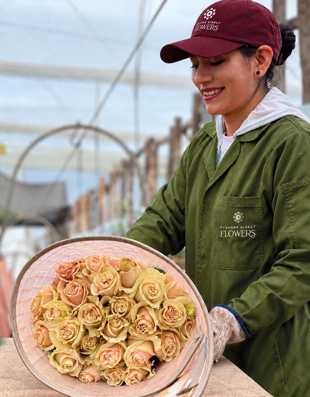 Ecuador Direct Flowers grower holding a freshly wrapped bouquet of peach roses inside the greenhouse
