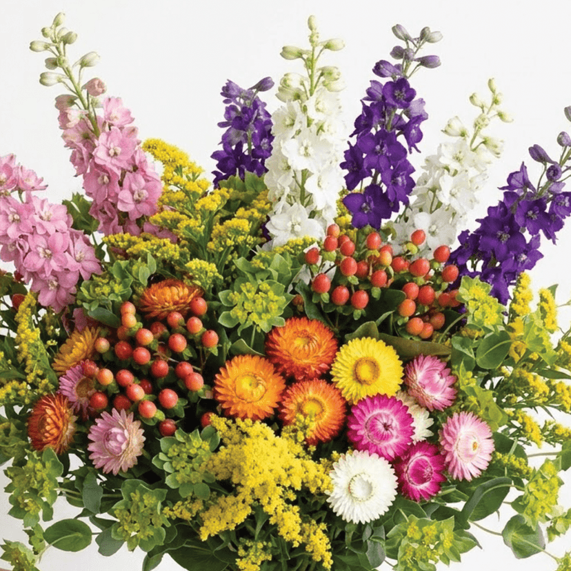 prairie-harmony-mix-box-styled