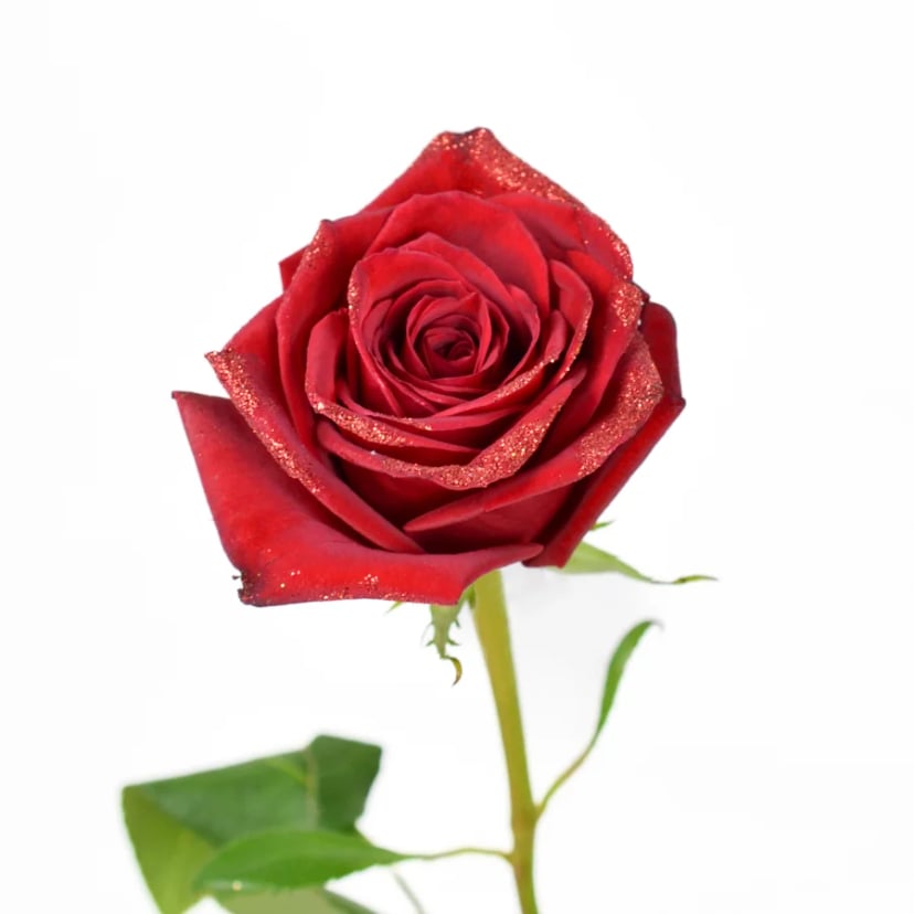 red-glitter-illusion-rose-side