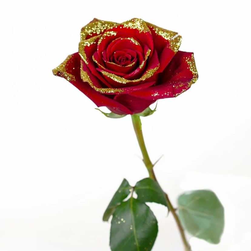 red-gold-illusion-rose-side