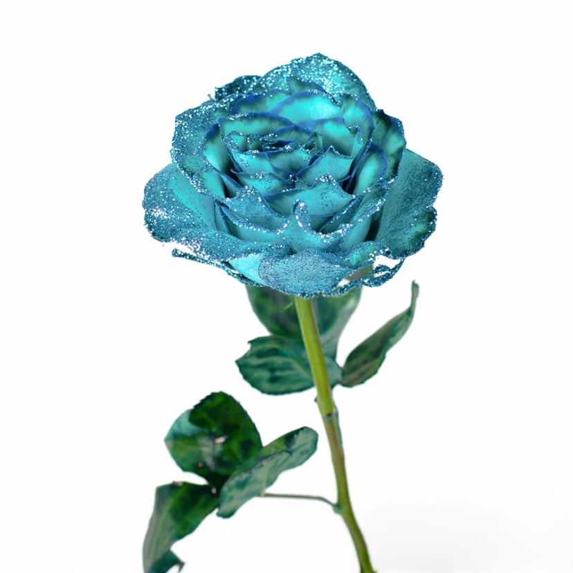 rock-it-out-rose-side