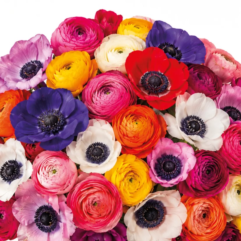 royal-bloom-mix-box-styled