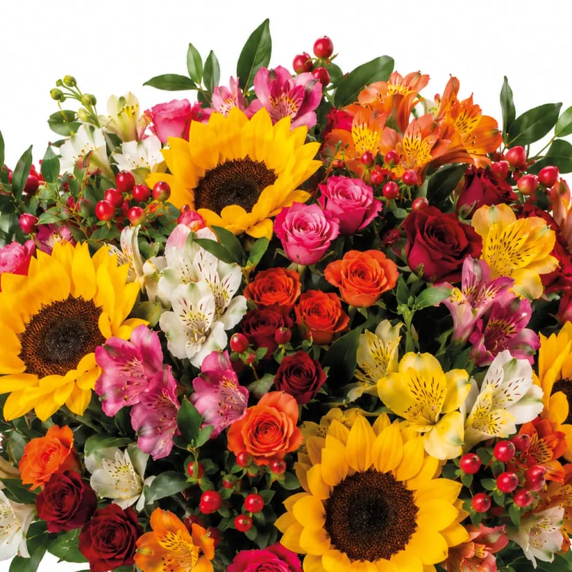 summer-sun-mix-box-styled