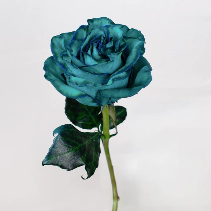 teal-rose-side
