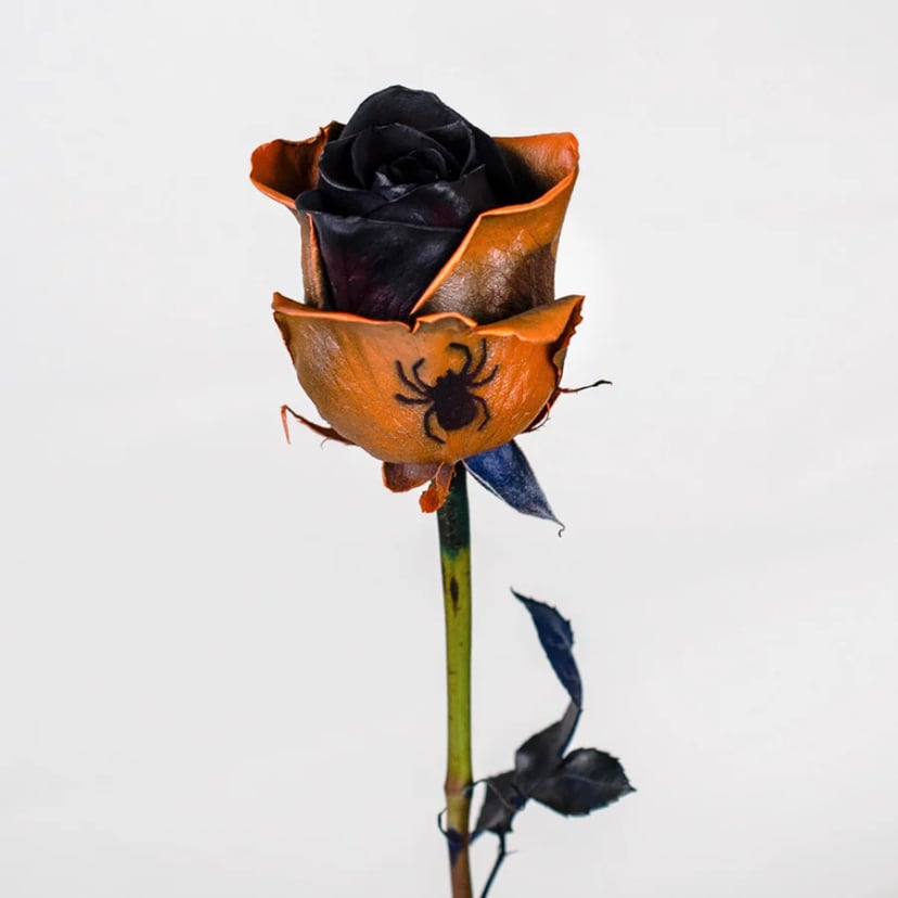 trick-or-treat-rose-side