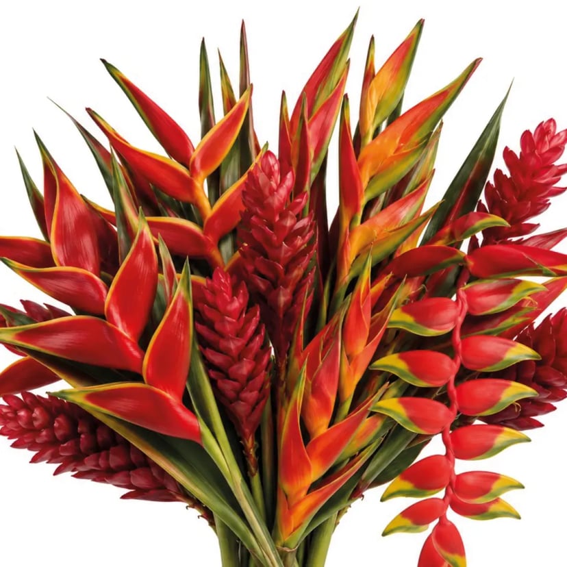 tropical-flowers-mix-box-styled