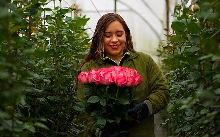 Certified Quality, Hand-Picked for You
