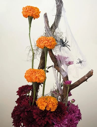 Halloween Season