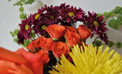 Fall picks